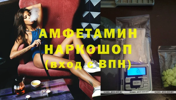 ешки Алексин