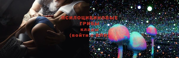 jwh Алзамай