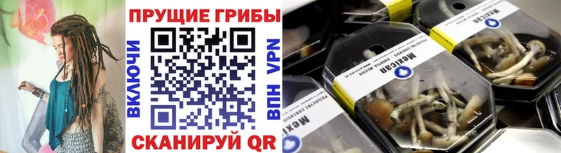 купить наркоту  Полысаево  сайты даркнета формула  Галлюциногенные грибы мицелий 