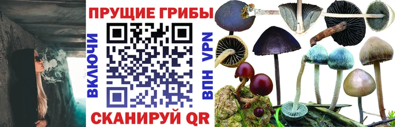 Галлюциногенные грибы мухоморы Полысаево